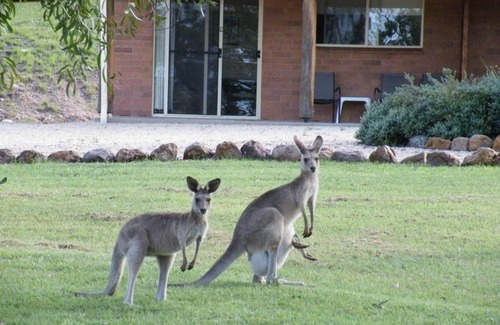 Rubyvale Hôtel | Rubyvale Motel & Holiday Units - An Adults Only Getaway