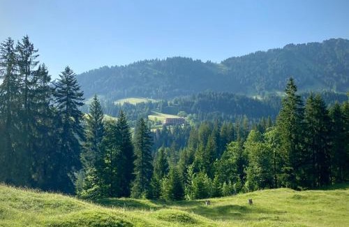 Schattwald Hôtel | Ruhehotel & Naturresort Rehbach - Adults only