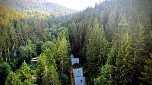 Eibenstock Appartement | Ruheort mitten im Wald