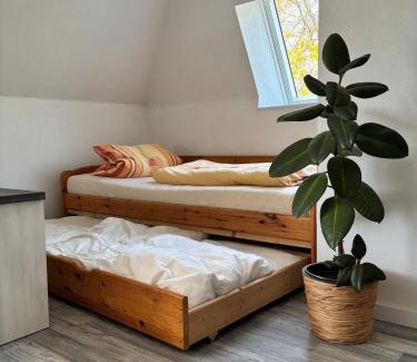 Bad Meinberg Appartement | Ruhige Ferienwohnung mit Waldblick
