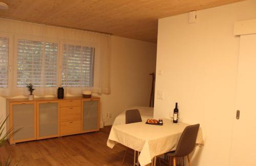 Zuchwil Appartement | Ruhiges, schönes Studio in Zuchwil