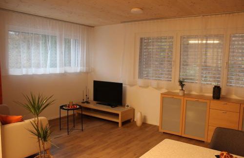 Zuchwil Appartement | Ruhiges, schönes Studio in Zuchwil