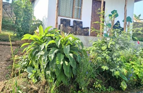 Luhizha Maison | Ruhija Gorilla Guest House