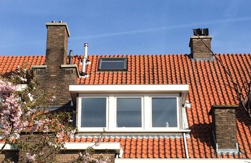 Vogelwijk Maison | Ruim Huis met Grote Tuin 10 Minuten Lopen Naar Strand en zee