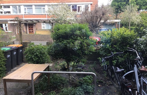 Vogelwijk Maison | Ruim Huis met Grote Tuin 10 Minuten Lopen Naar Strand en zee
