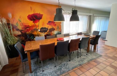 Den Ham Villa | Ruime Villa met Hottub Sauna en Gamesroom