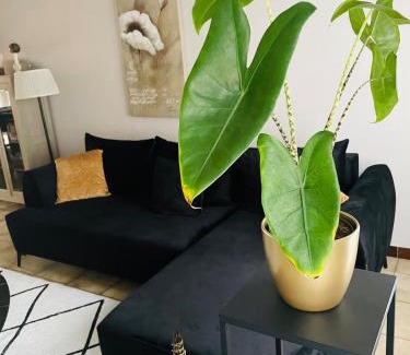 Wevelgem Maison | Ruime woning met privé-kamer en modern comfort