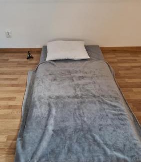 Dannemora Auberge | Rum i centrum med madrass