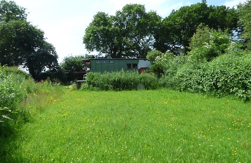 Cilgerran Maison | Rumenco converti en camion à chevaux, autonome 2 personnes, hors réseau glamping.