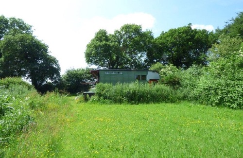 Cilgerran Maison | Rumenco converti en camion à chevaux, autonome 2 personnes, hors réseau glamping.