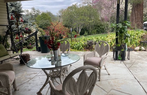 Nut Tree Appartement | Rural and tranquil
