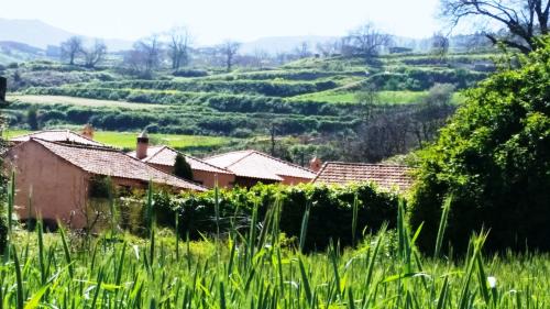 Los Realejos Maison | Rural Las Llanadas