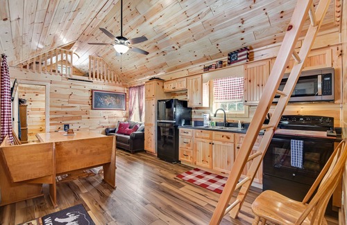 Florissant Cabine | Rural Wood Cabin Surrounded by Trees with WiFi, W/D, & Gorgeous Deck