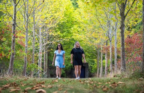Richmond Downs Maison | Ruru Retreat at the Sculpture Park