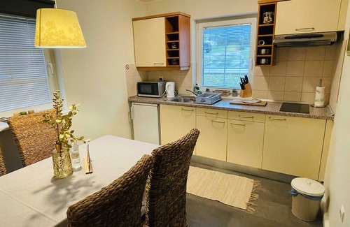 Podcetrtek Appartement | Rustic and Radiant Retreat Apartments with Terrace - Classic One Bedroom Apartment with Terrace