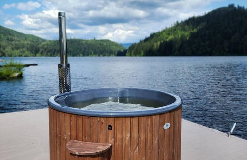 Mineral Cabine | Rustic cabin w/hot tub and sauna on the lake with Mountain view