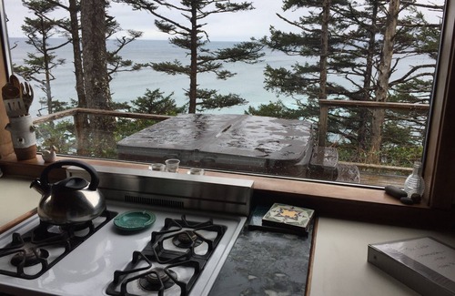 Arch Cape Cabine | Rustic Cabin with Spectacular Ocean View