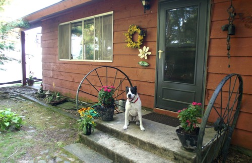 Cass Lake Cabine | Rustique, chaleureux, Lakefront Cabin On Leech Lake - parfait pour les familles et les pêcheurs
