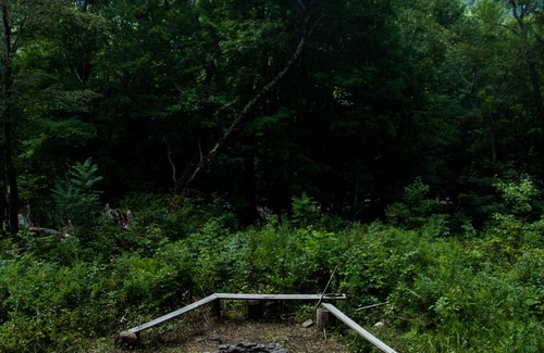 De Lancey Cottage | Rustic Family Cabin (PET FRIENDLY, WiFi, FULLY FUNCTIONAL HOME)