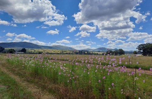 Lydenburg Maison | Rustic Farm Stay