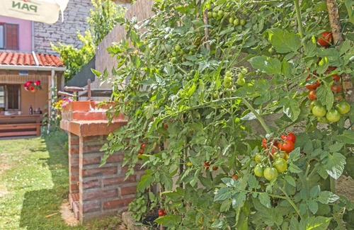 Sajini Maison | Rustic Holiday House / pet friendly / wifi