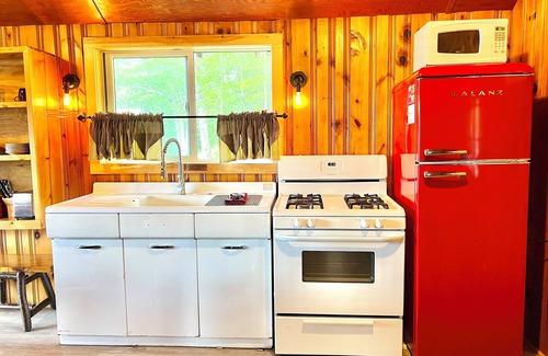 Indian Lake Cabine | Rustic Lake View Cabin in Heart of Adirondacks