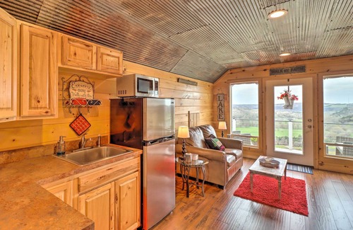 Norfork Appartement | Rustic Norfork Studio w/ Million Dollar View!