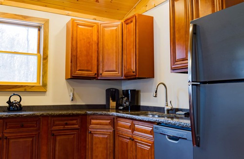 Romulus Cabine | Cabane en rondins rustique mais moderne, Cayuga Wine Trail, Dog Friendly, ouvert toute l'année