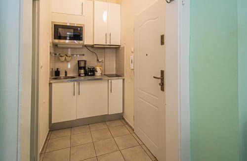 Zizkov Appartement | Ruterra Apartment Cimburkova
