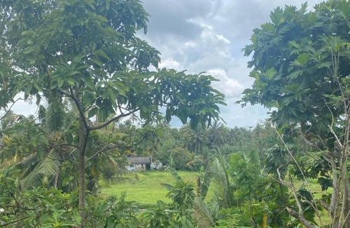Ahangama Hôtel | Ruwan Villa Ahangama