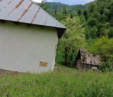 Azerbaijan Maison | Ruzigar Guesthouse