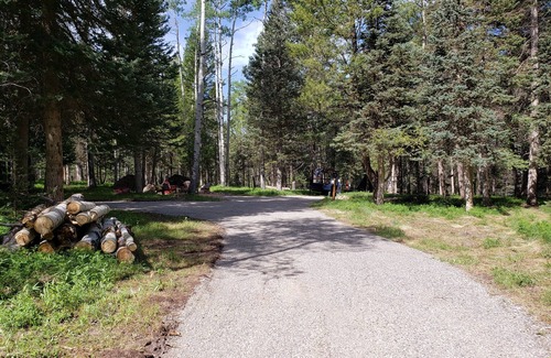 Cimarron Location De VR | RV Lot nestled in the Aspens!