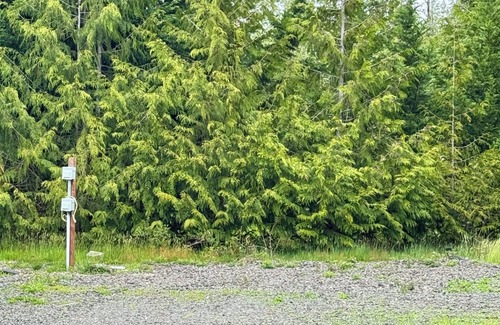 Seabeck Location De VR | RV Spaces with hookups, 5 private country acres, 20 min to town, Family friendly