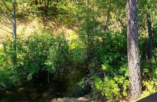 Cave Junction Maison | Rv42 With Large Deck On A Creek
