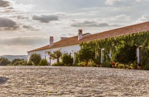 Reguengos de Monsaraz Hôtel | São Lourenço do Barrocal
