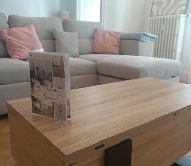 Chambery Appartement | Séjour lumineux à 800m gare, près des Éléphants