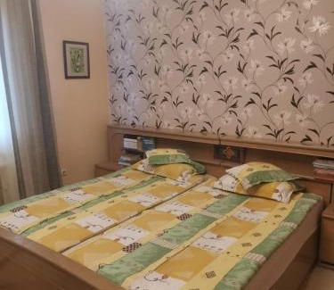 Suseni Maison | Sólyom Katalin vendégház