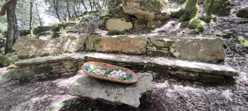 Gadoni Maison | Sa Burra Guest House