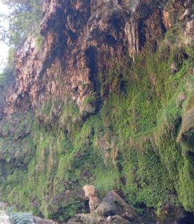 Gadoni Maison | Sa Burra Guest House