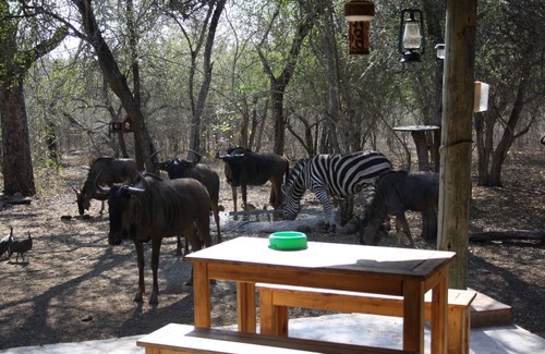 Marloth Park Cottage | Sadadu maison borde le parc national Kruger, wifi gratuit