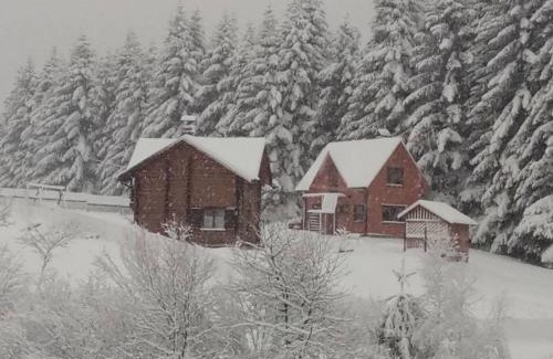 Skhidnytsya Maison | Sadyba Drymba