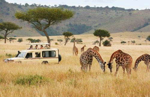 Taita Hills Autre | Safari Bubbles