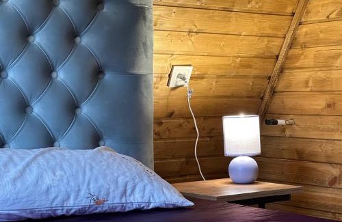 Vedzebi Chalet De Ski | Sagarejo Wood House