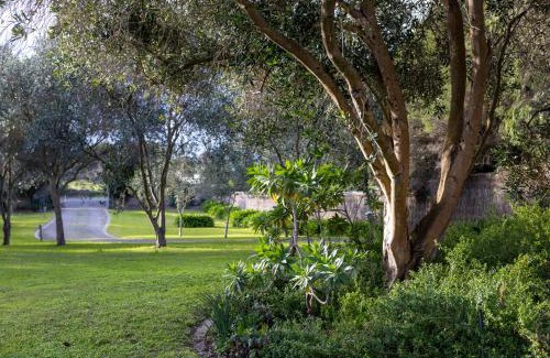 Queenscliff Maison | Sagres Luxury Coastal Escape