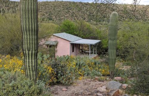 Mesa Cabine | Saguaro Lake Ranch