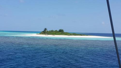 Eydhafushi Location De Bateaux | SailFish Catamaran