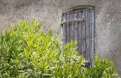 Saint-Seurin-De-Cursac Maison | Gîte de charme 3 étoiles près de Blaye, en Gironde