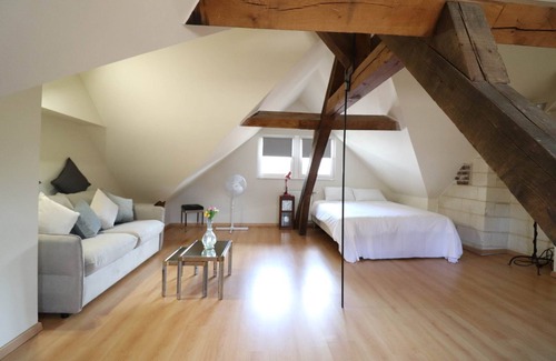 Old Town Appartement | SAITE TRINITÉ Logement entier : Duplex Troyes Centre Historique de Troyes