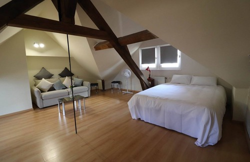 Old Town Appartement | SAITE TRINITÉ Logement entier : Duplex Troyes Centre Historique de Troyes