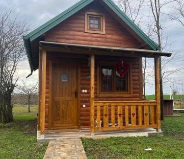South Backa District Maison | Salaš Gnijezdo